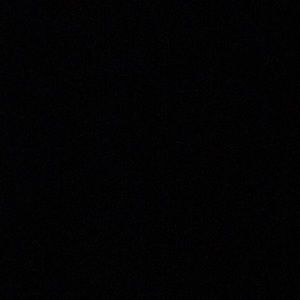 Meet your Posher, Max